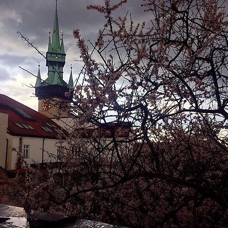 Hotel Althansky Palac Znojmo Exterior foto