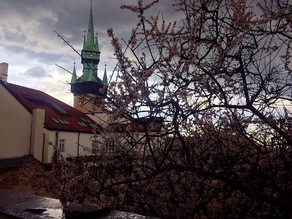 Hotel Althansky Palac Znojmo Exterior foto